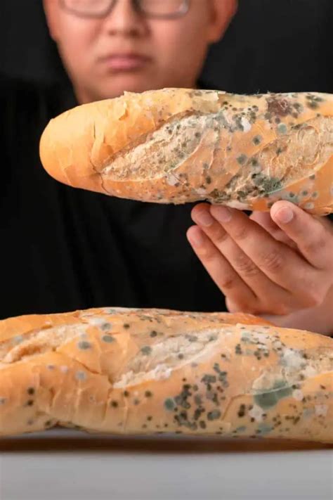 molds in bread in tagalog|White Bread Mold Explained (Different Types and How To .